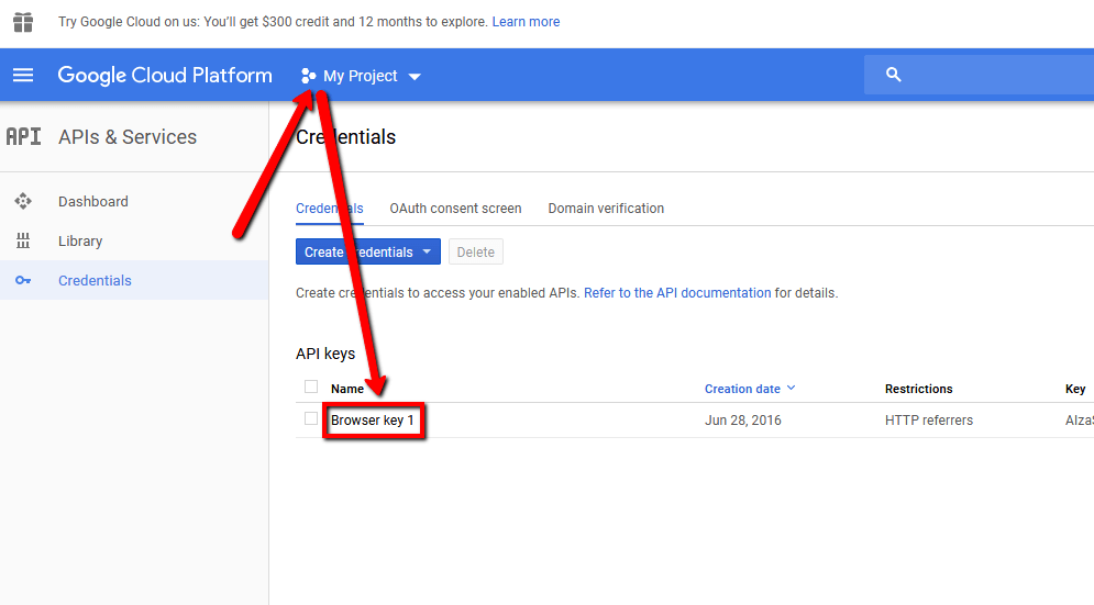 google maps api key credentials